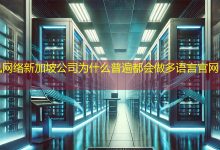 新加坡公司为什么普遍都会做多语言官网吗？-海外网站建设