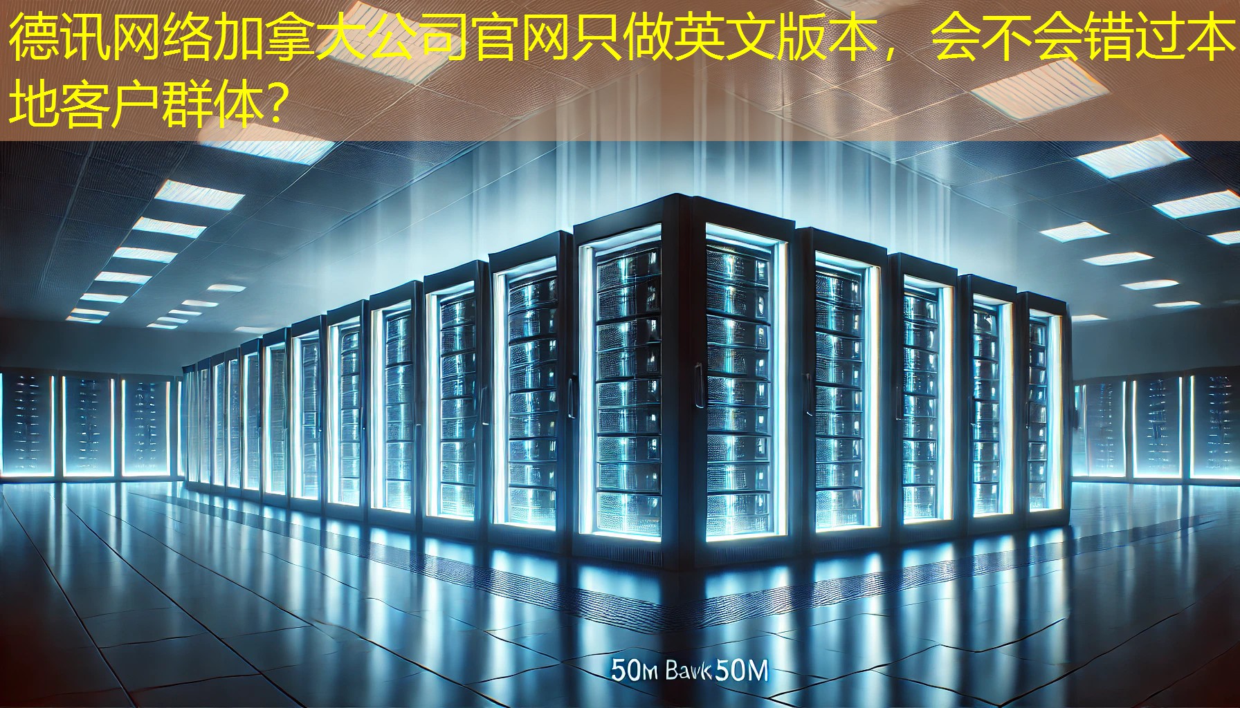 加拿大公司官网只做英文版本，会不会错过本地客户群体？